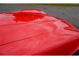 1981 Chevrolet Corvette (CC-2073964) for sale in Ramsey, Minnesota