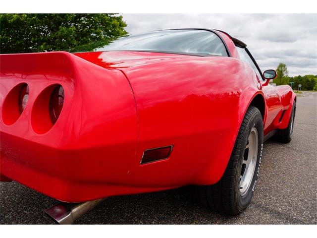 1981 Chevrolet Corvette (CC-2073964) for sale in Ramsey, Minnesota