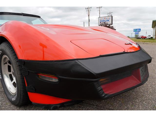 1981 Chevrolet Corvette (CC-2073964) for sale in Ramsey, Minnesota