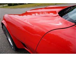 1981 Chevrolet Corvette (CC-2073964) for sale in Ramsey, Minnesota