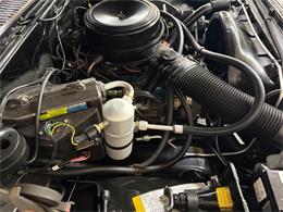 1981 Chevrolet C/K 10 (CC-2070397) for sale in Mundelein, Illinois