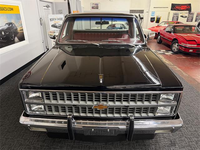 1981 Chevrolet C/K 10 (CC-2070397) for sale in Mundelein, Illinois