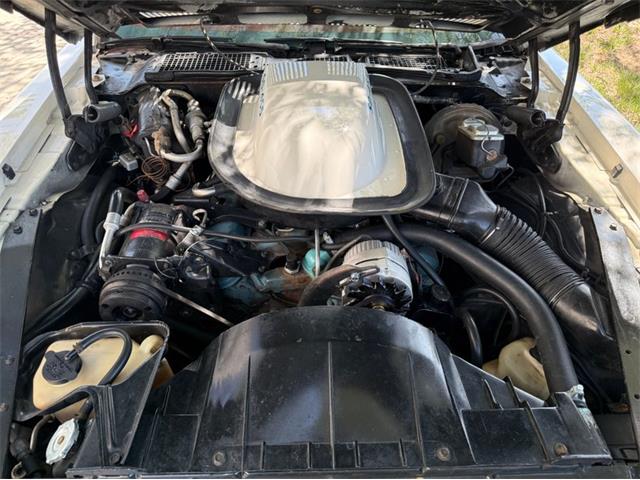1973 Pontiac Firebird Trans Am (CC-2074020) for sale in Lincoln, Nebraska