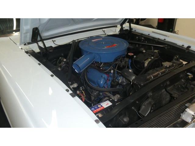 1966 Ford Mustang (CC-2074072) for sale in Colombus, Ohio