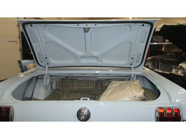 1966 Ford Mustang (CC-2074072) for sale in Colombus, Ohio