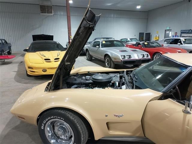 1977 Chevrolet Corvette (CC-2074091) for sale in Puslinch, Ontario