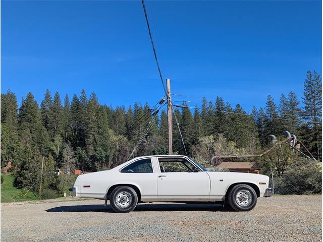 1975 Chevrolet Nova (CC-2074104) for sale in Grass Valley, California