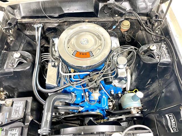 1966 Ford Fairlane (CC-2070413) for sale in Hilton, New York