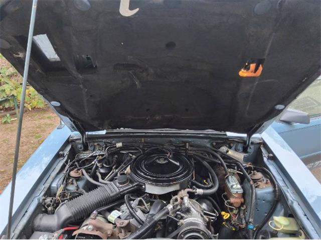 1986 Ford Mustang (CC-2074203) for sale in Cadillac, Michigan