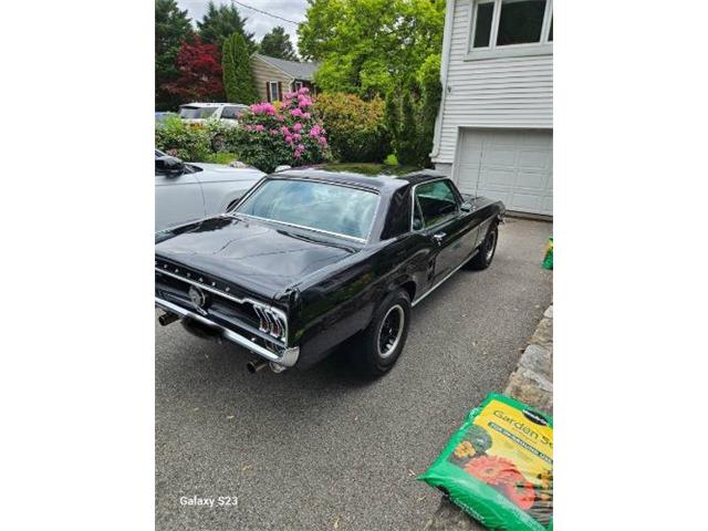 1967 Ford Mustang (CC-2074231) for sale in Cadillac, Michigan