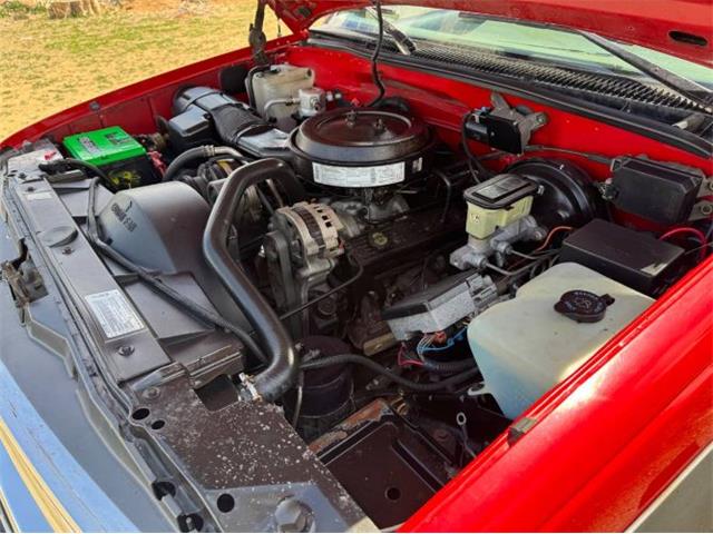 1995 Chevrolet C/K 2500 (CC-2074232) for sale in Cadillac, Michigan