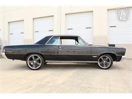 1965 Pontiac GTO (CC-2074239) for sale in Houston, Texas