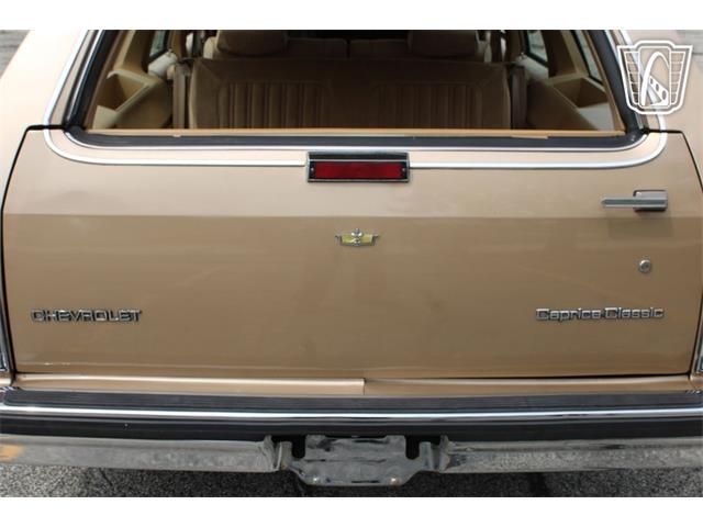 1987 Chevrolet Caprice (CC-2074241) for sale in Crete, Illinois