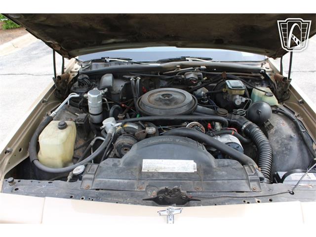 1987 Chevrolet Caprice (CC-2074241) for sale in Crete, Illinois