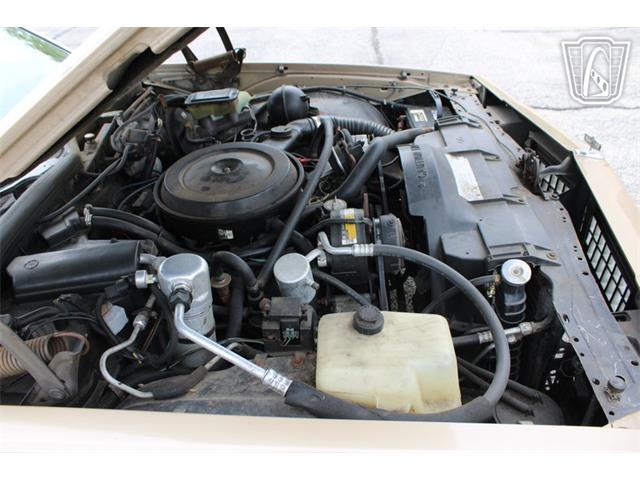 1987 Chevrolet Caprice (CC-2074241) for sale in Crete, Illinois
