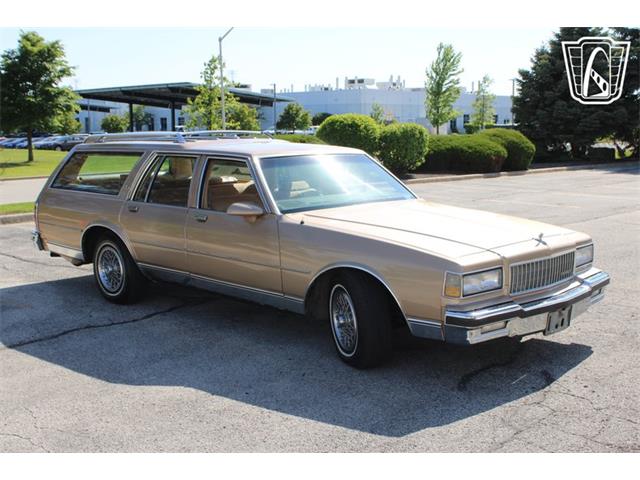1987 Chevrolet Caprice (CC-2074241) for sale in Crete, Illinois