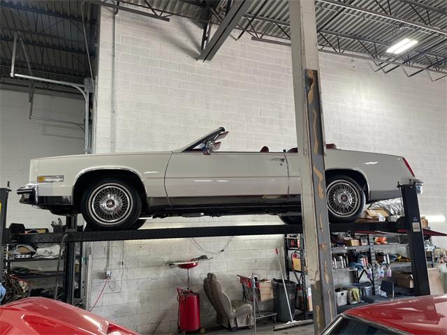 1985 Cadillac Eldorado (CC-2074245) for sale in Addison, Illinois