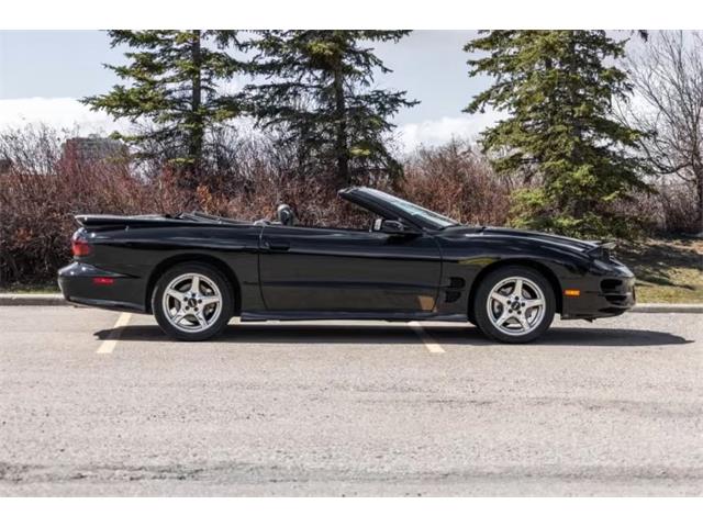 1999 Pontiac Firebird (CC-2074258) for sale in Addison, Illinois