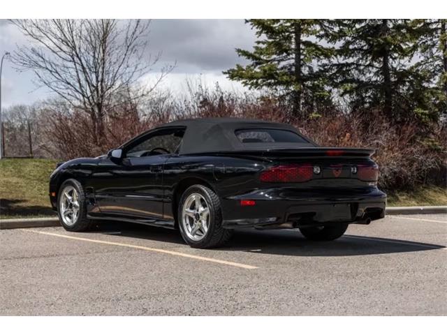 1999 Pontiac Firebird (CC-2074258) for sale in Addison, Illinois