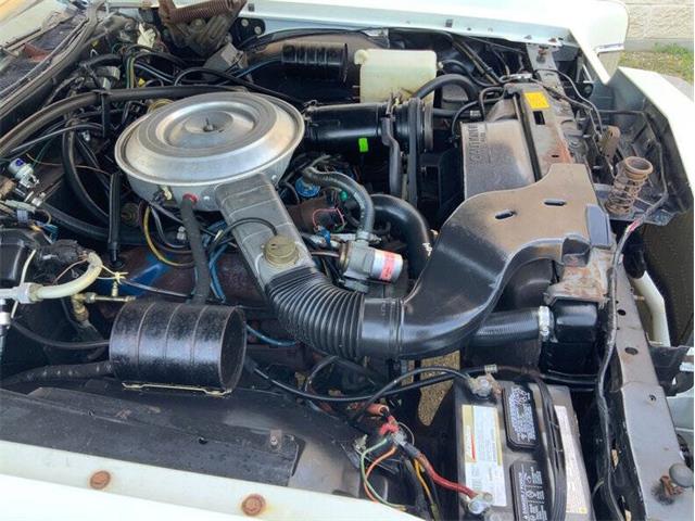 1979 Lincoln Continental (CC-2074267) for sale in Fredericksburg, Texas