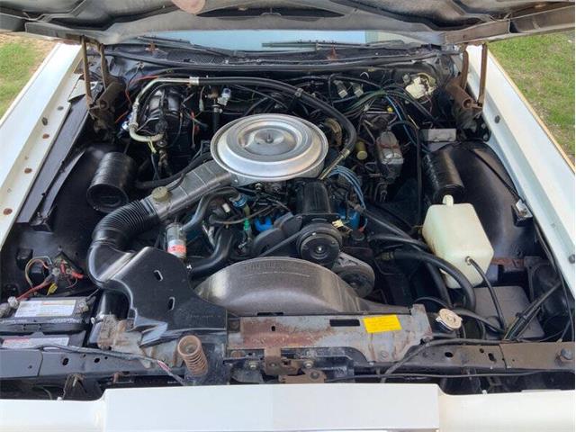 1979 Lincoln Continental (CC-2074267) for sale in Fredericksburg, Texas