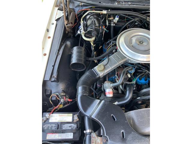 1979 Lincoln Continental (CC-2074267) for sale in Fredericksburg, Texas