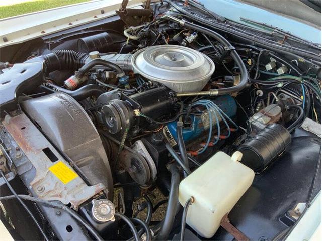 1979 Lincoln Continental (CC-2074267) for sale in Fredericksburg, Texas