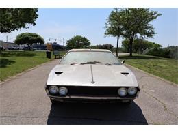 1971 Lamborghini Espada (CC-2074285) for sale in Astoria, New York