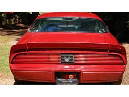 1979 Pontiac Firebird (CC-2074305) for sale in Norcross, Georgia