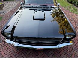 1966 Ford Mustang (CC-2074368) for sale in Jacksonville, Florida
