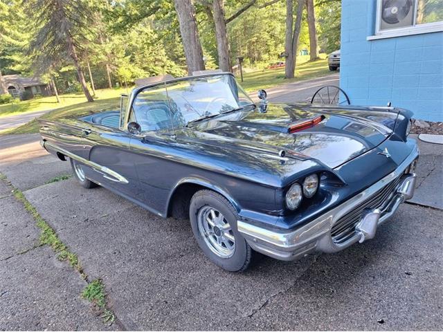 1959 Ford Thunderbird (CC-2074369) for sale in Manistee, Michigan