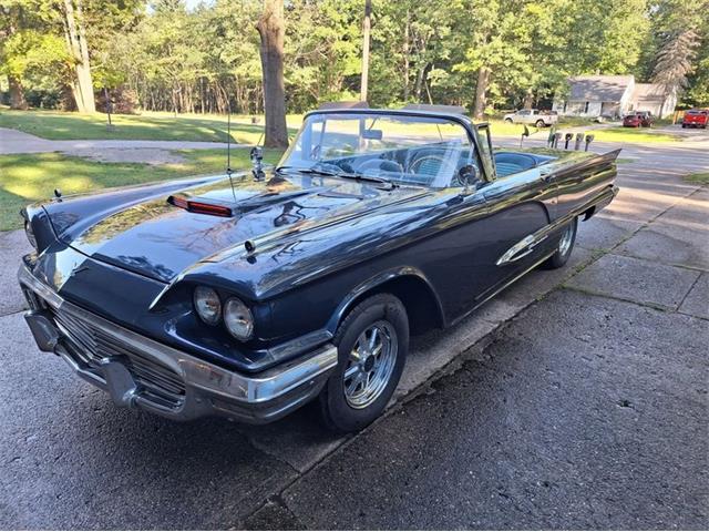 1959 Ford Thunderbird (CC-2074369) for sale in Manistee, Michigan