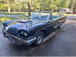 1959 Ford Thunderbird (CC-2074369) for sale in Manistee, Michigan