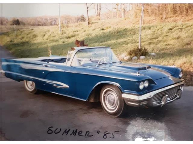 1959 Ford Thunderbird (CC-2074369) for sale in Manistee, Michigan
