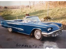 1959 Ford Thunderbird (CC-2074369) for sale in Manistee, Michigan