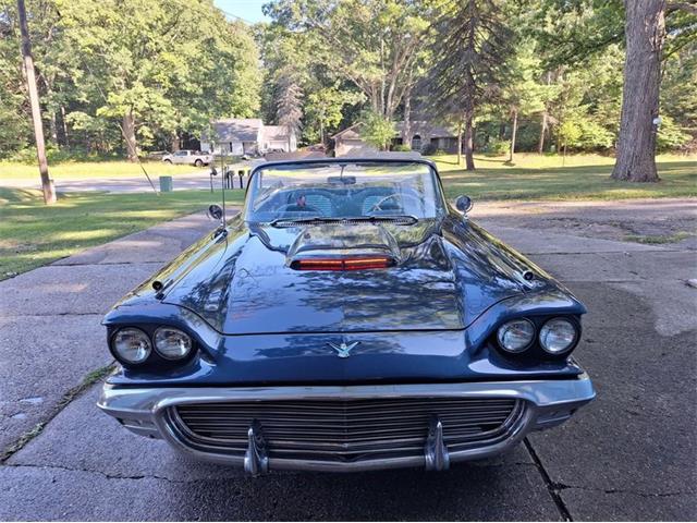 1959 Ford Thunderbird (CC-2074369) for sale in Manistee, Michigan