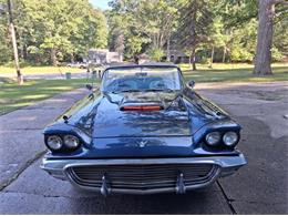 1959 Ford Thunderbird (CC-2074369) for sale in Manistee, Michigan