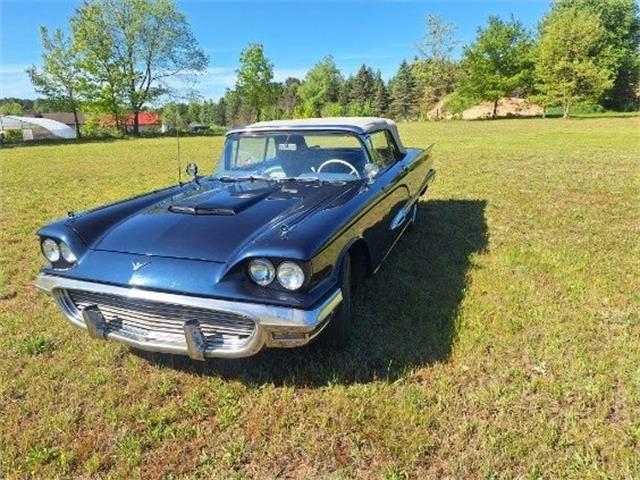 1959 Ford Thunderbird (CC-2074369) for sale in Manistee, Michigan