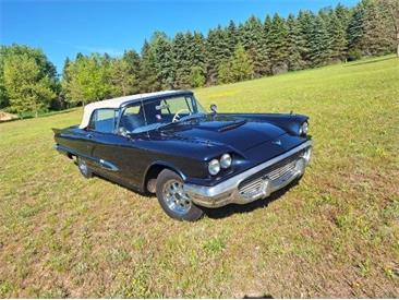 1959 Ford Thunderbird (CC-2074369) for sale in Manistee, Michigan