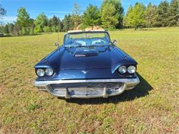 1959 Ford Thunderbird (CC-2074369) for sale in Manistee, Michigan