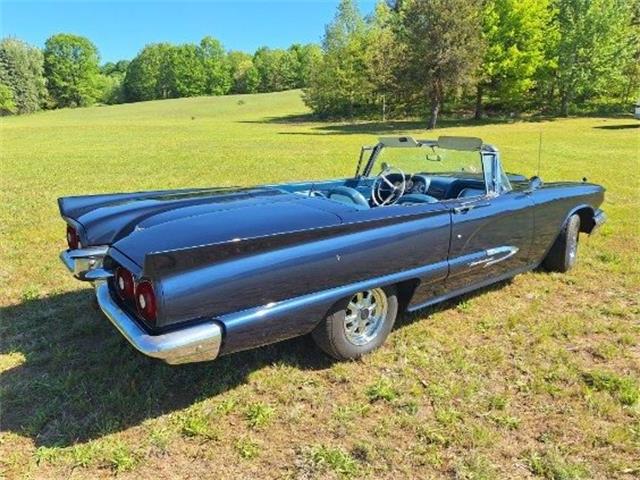 1959 Ford Thunderbird (CC-2074369) for sale in Manistee, Michigan