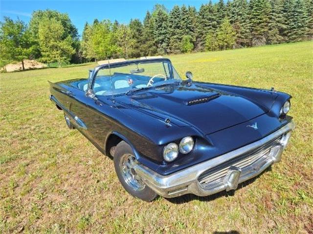 1959 Ford Thunderbird (CC-2074369) for sale in Manistee, Michigan