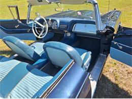 1959 Ford Thunderbird (CC-2074369) for sale in Manistee, Michigan
