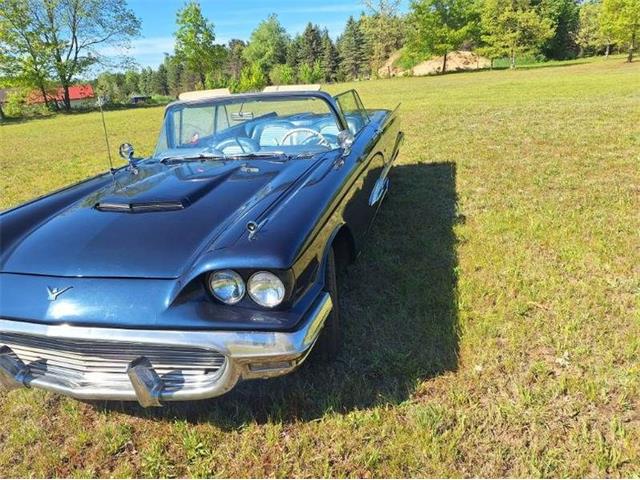 1959 Ford Thunderbird (CC-2074369) for sale in Manistee, Michigan