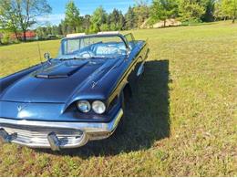 1959 Ford Thunderbird (CC-2074369) for sale in Manistee, Michigan