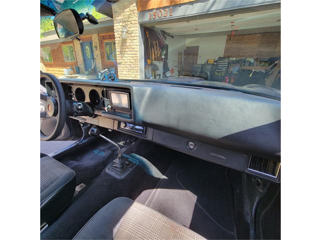 1979 Chevrolet Camaro Z28 (CC-2070437) for sale in Burnsville, Minnesota