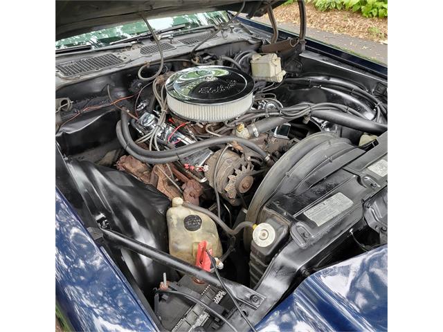1979 Chevrolet Camaro Z28 (CC-2070437) for sale in Burnsville, Minnesota