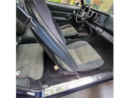 1979 Chevrolet Camaro Z28 (CC-2070437) for sale in Burnsville, Minnesota