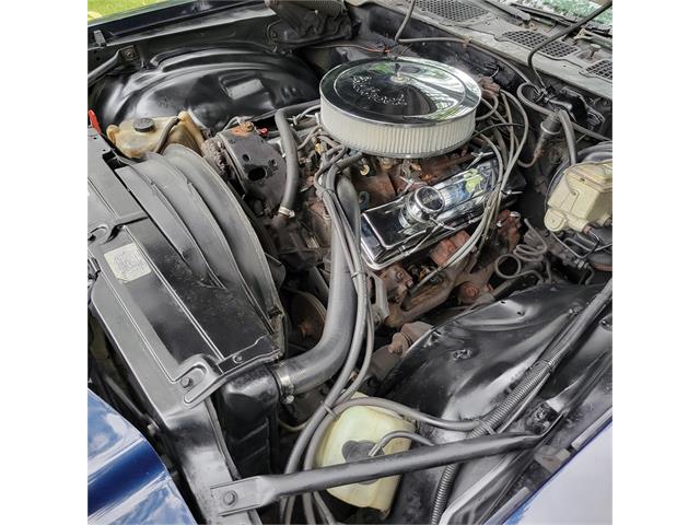 1979 Chevrolet Camaro Z28 (CC-2070437) for sale in Burnsville, Minnesota