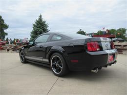 2007 Ford Mustang Shelby GT (CC-2074406) for sale in Stoughton, Wisconsin